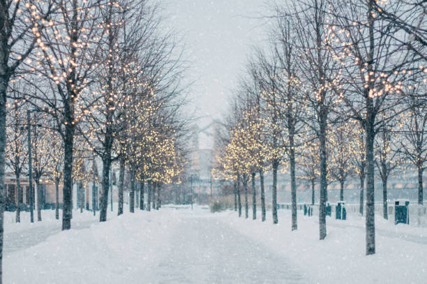 황혼에 눈과 빛나는 화 겨울 나무 골목을 흐려. - snow winter bench park 뉴스 사진 이미지