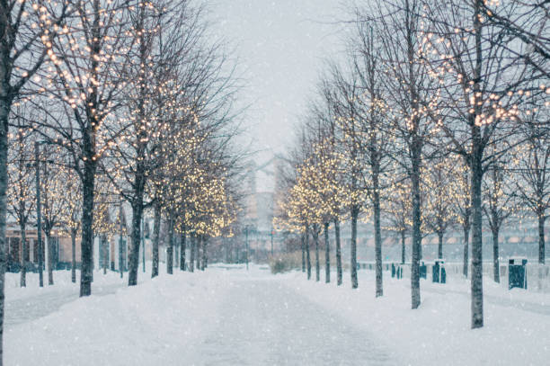 istock Blurred winter tree alley with falling snow and shining garlands in twilight. 1087591612