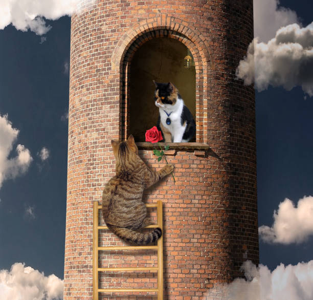 istock Cat climbs to his friend 2 1087593782