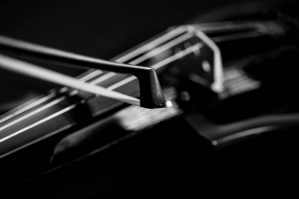 istock electronic violin close up on a black background 1087595644