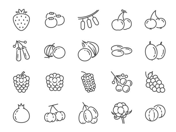 ilustraciones, imágenes clip art, dibujos animados e iconos de stock de conjunto de iconos de la línea de frutas del bosque. incluye los iconos como arándano, arándano, frambuesa, fresa, cereza y mucho más. - blackberry blueberry raspberry fruit
