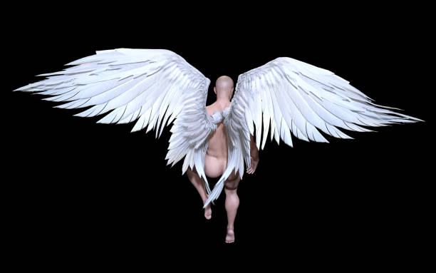 istock Angel Wings, White Wing Plumage with Clipping Path. 1087601974