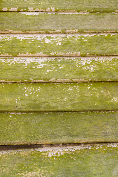 istock Old wooden boards overgrown with moss. 1087610026