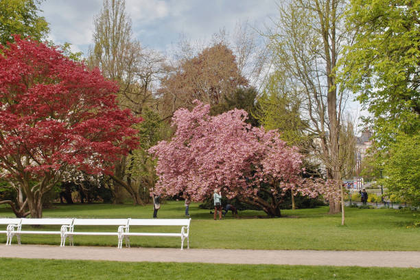 istock Dvorzhakov`s Garden, Karlovy Vary,  Czech Republic 1087610120