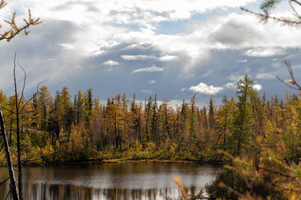 istock Autumn colored siberian forest with reflections on the lake surface, Norilsk Talnakh 1087610620