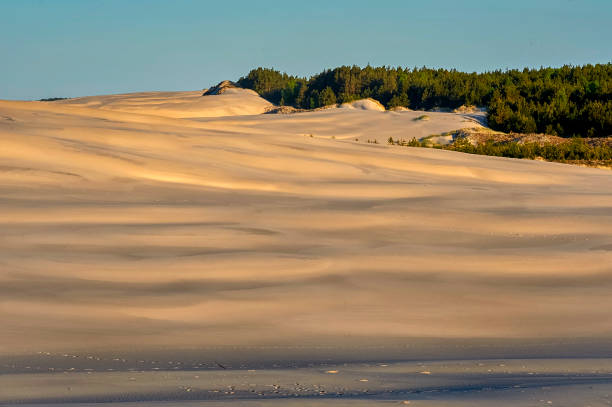 istock Movement dunes - Leba, Poland, National Unesco Park. 1087614738