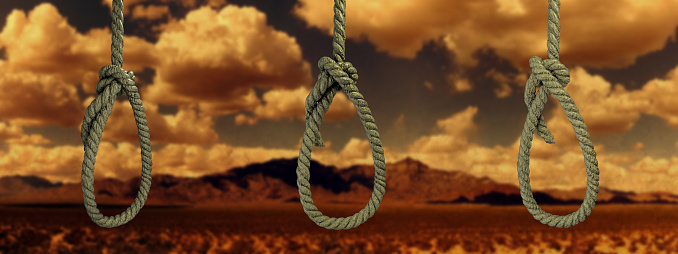 hanged noose in the desert 3d illustration