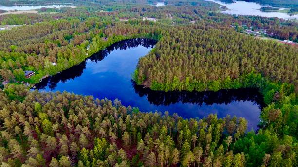 letnia fotografia lotnicza. błękitne jezioro wśród zielonego lasu z góry na dno. europa północna, jasny słoneczny dzień. - 2604 zdjęcia i obrazy z banku zdjęć