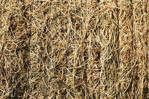 Full frame of raffia background