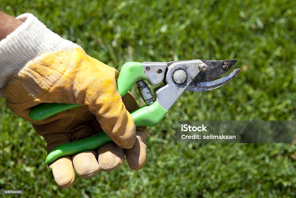 Pruning Shears Pruning Shears,Full Frame,Close Up Agriculture Stock Photo
