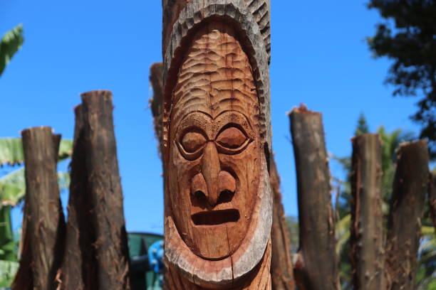 Faces in the trees from Isle of Pines Carvings of the face in the beachside of New Caledonia. new caledonia stock pictures, royalty-free photos & images