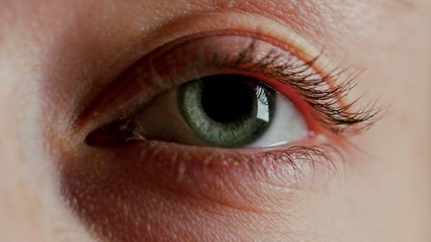 istock Close-up Beautiful Blue Eye 1087647296