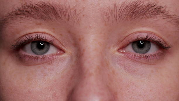 istock Close-up Beautiful Blue Eye 1087647392