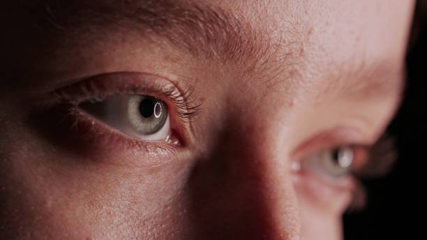 istock Close-up Beautiful Blue Eye 1087647396
