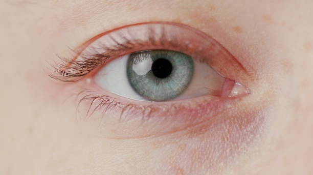 istock Close-up Beautiful Blue Eye 1087648742
