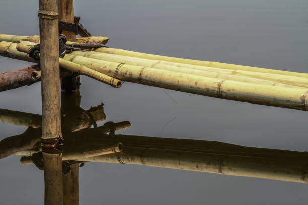 istock pedestrian overpass made of bamboo  reflected by water 1087652354