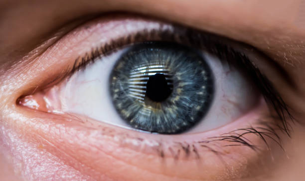 istock The blue green gray eye macro shoot 1087663004