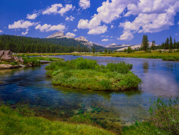 istock Tuolumne River Yosemite National Park 1087673286