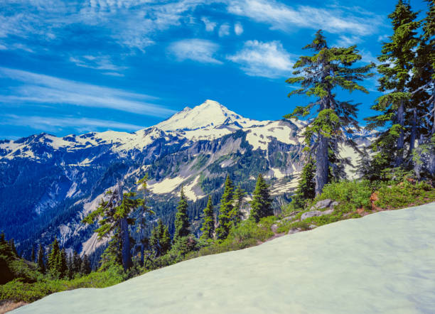 Snow coverer Mt Baker at sunset on a winter eve from English Boom on Camano Island WA USA