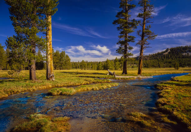 istock Tuolumne River Yosemite National Park 1087673786