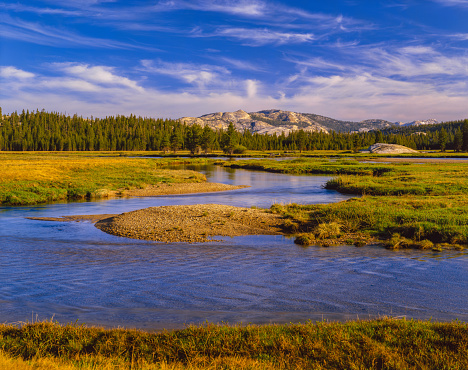 View of Half Dome from Cook's Meadow in Yosemite National Park