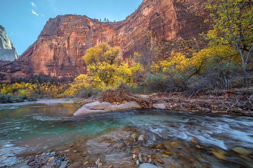 Fall colors have arrived at Zion National Park, Utah