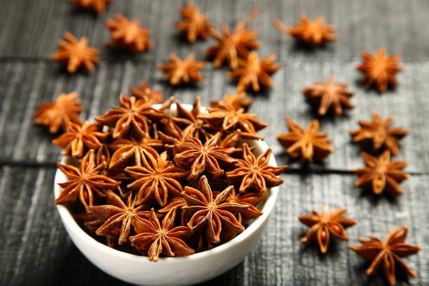 istock Indian spices- organic star anise 1087683776