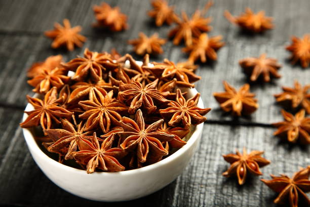 istock Indian spices- organic star anise 1087683802