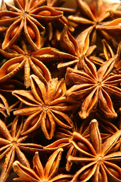 istock Organic star anise spices 1087683854