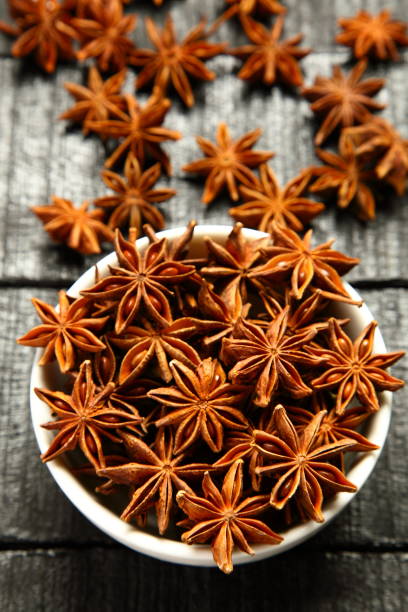 istock Indian spices- organic star anise 1087683880