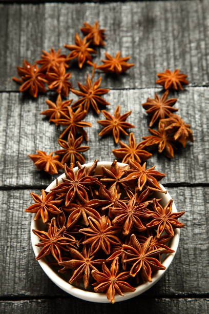 istock Indian spices- organic star anise 1087683908