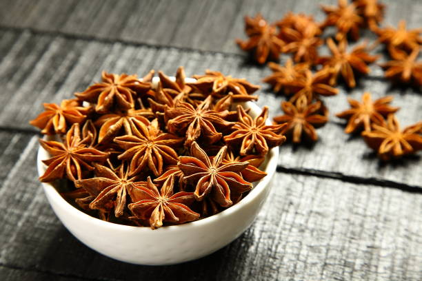 istock Indian spices- organic star anise 1087684040