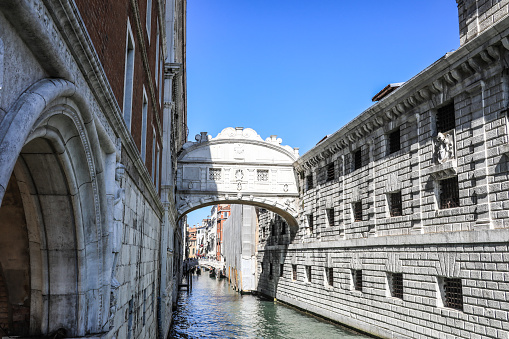 Rialto Bridge in Grand Canal. Venice, Italy