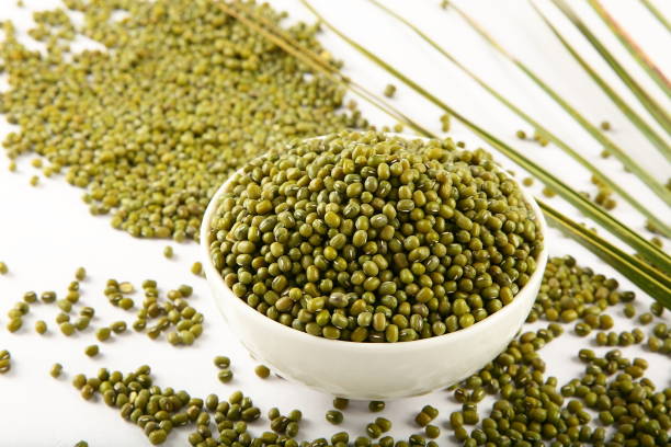 istock Bowl of organic mung beans 1087695622