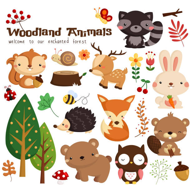 вудленд животных - mushroom forest tree area fungus stock illustrations