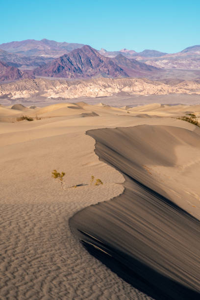 istock Mesquite Flat Sand Dunes with mountain view, Death Valley National Park 1087705568