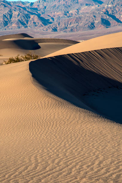 istock Mesquite Flat Sand Dunes with mountain view, Death Valley National Park 1087705650