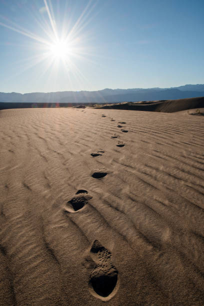 istock Mesquite Flat Sand Dunes with mountain view, Death Valley National Park 1087705684