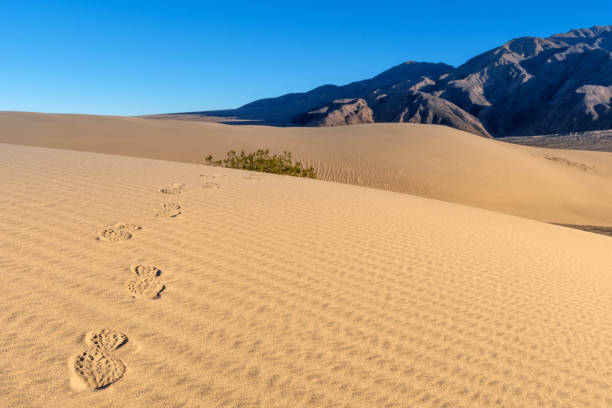 istock Mesquite Flat Sand Dunes with mountain view, Death Valley National Park 1087715328