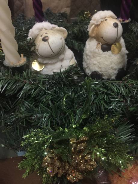 istock the christmas of the sheep 1087717052