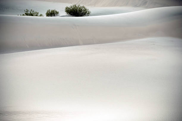 Mesquite Flat Sand Dunes with mountain view, Death Valley National Park