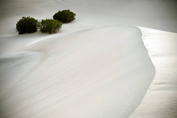 istock Mesquite Flat Sand Dunes with mountain view, Death Valley National Park 1087720522