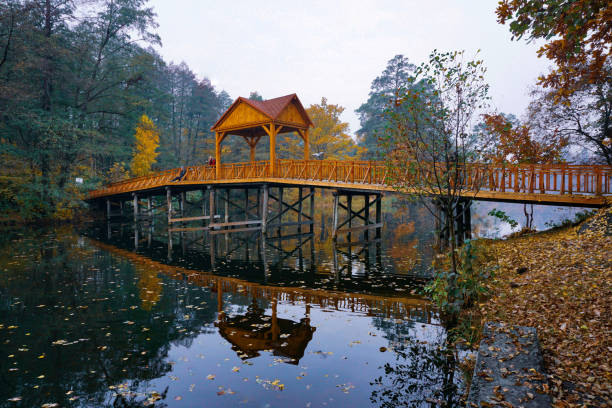 istock Wooden bridge over the river with a canopy. 1087722314