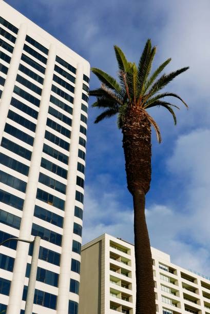 istock Tall Buildings with Vertical Line Exteriors 1087744340