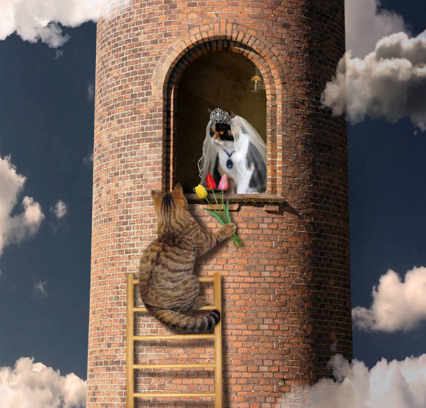 istock Cat climbs to his princess 1087745732