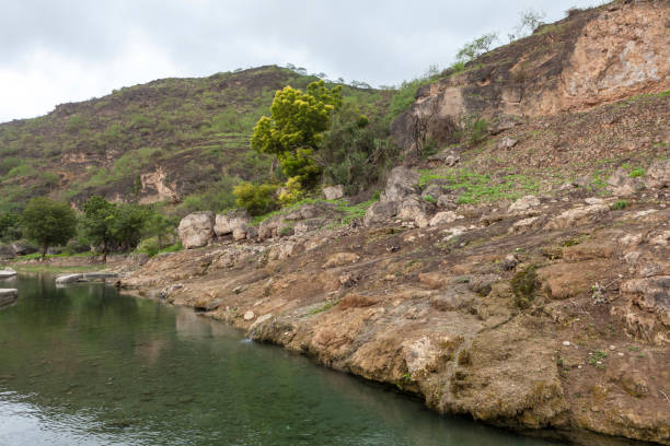 istock Spring near Salalah, Dhofar Province, Oman 1087755820