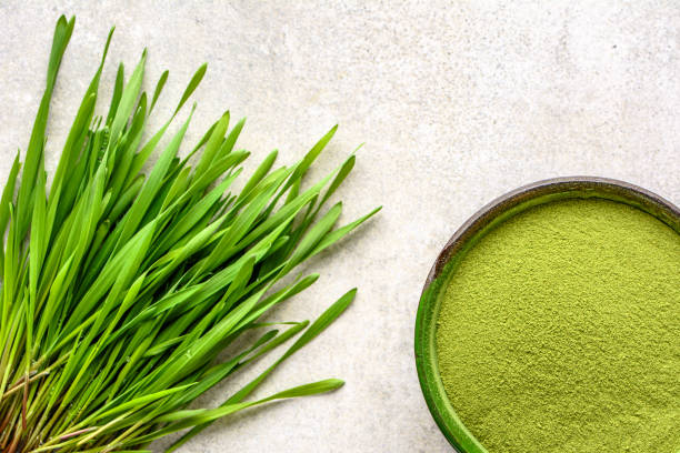 superfood detox erba d'orzo, polvere e germogli, dieta verde vegana per la salute e il benessere - barley grass foto e immagini stock