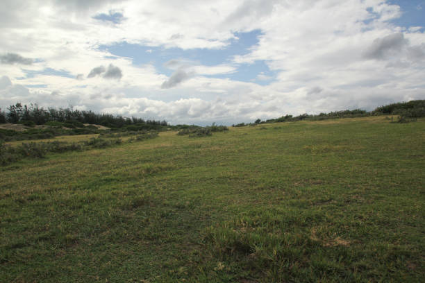 Green rural landscape with people in Florida