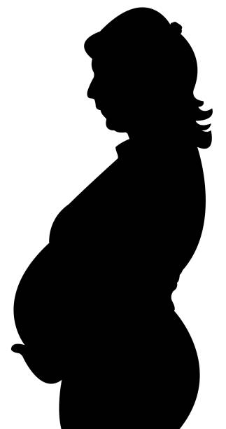 istock a pregnant woman body silhouette vector 1087763312