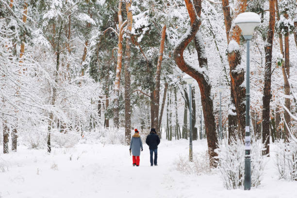istock People walking in scenic winter park 1087772238